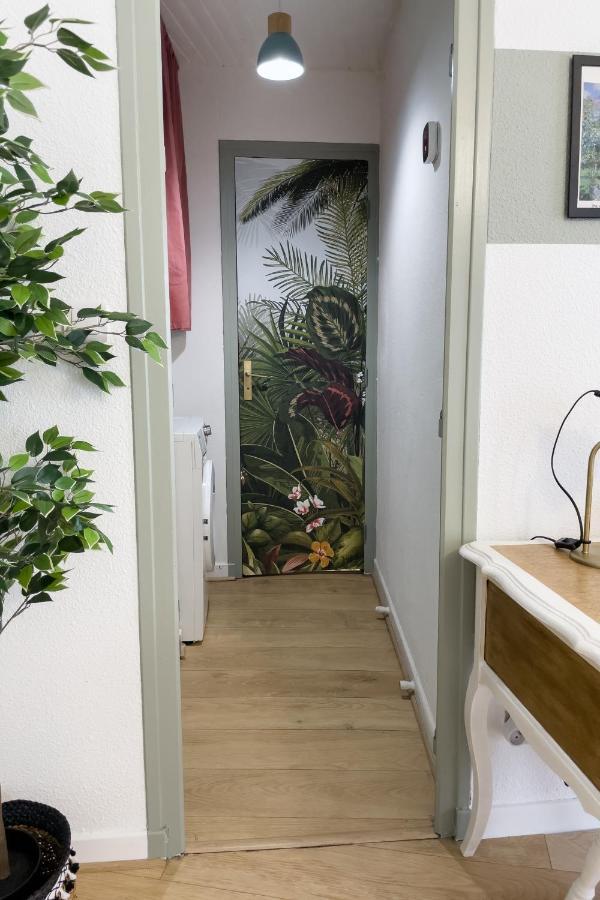Appartement Lumineux 1 Chambre Hypercentre Place St Jean Valence  Ngoại thất bức ảnh