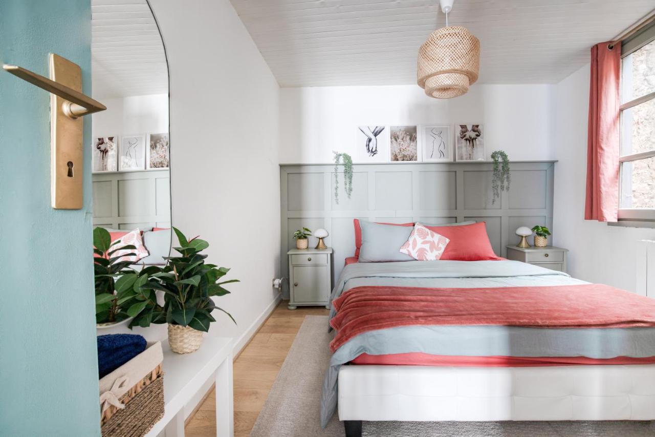 Appartement Lumineux 1 Chambre Hypercentre Place St Jean Valence  Ngoại thất bức ảnh